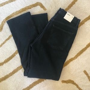 NWT Agolde Pinch Waist Hi Rise Kick, Realm, 29